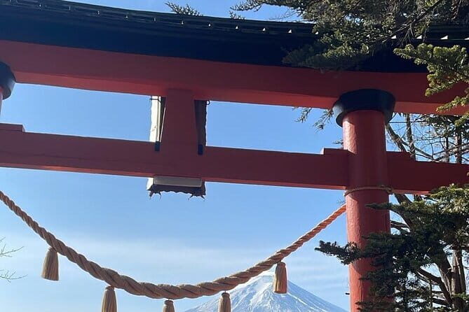 Private Luxury vellfire Tour Experience To Fuji And Hakone - An In-Depth Look at the Customizable Day Trip to Mt. Fuji and Hakone