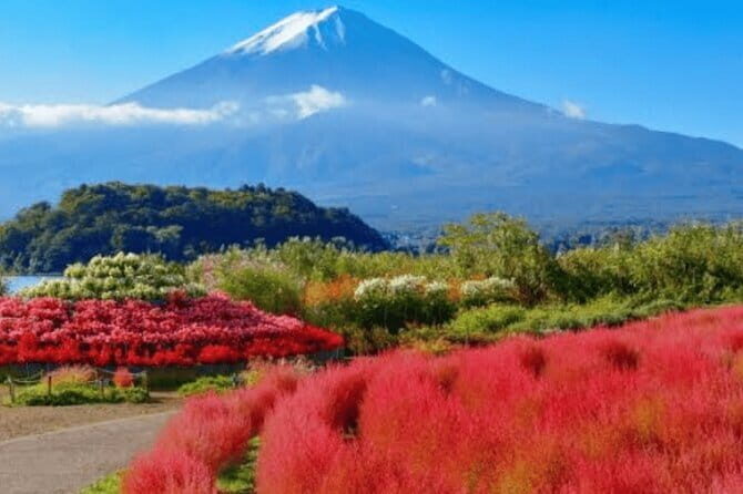 Private Luxury vellfire Tour Experience To Fuji And Hakone - Who Is This Tour Best For?