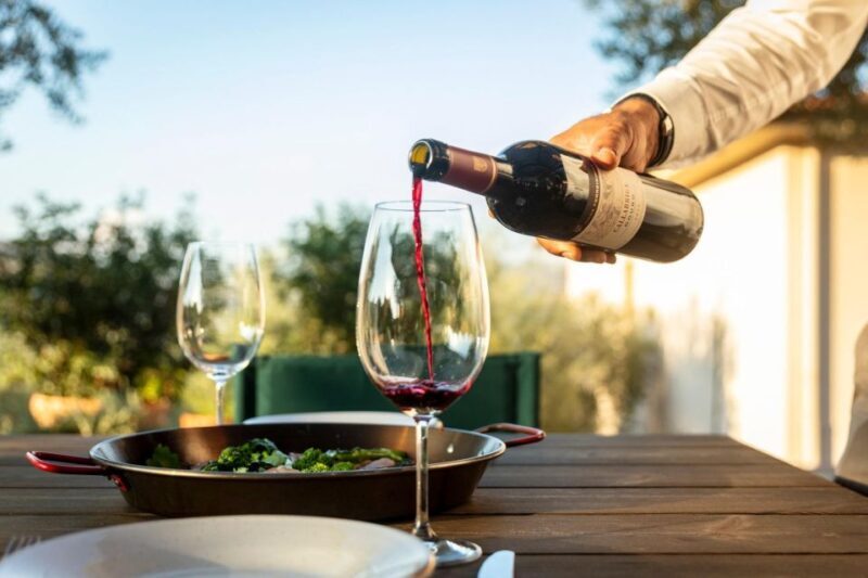 Private Luxury Wine & Food Tour in Douro - An In-Depth Look at the Douro Luxury Experience