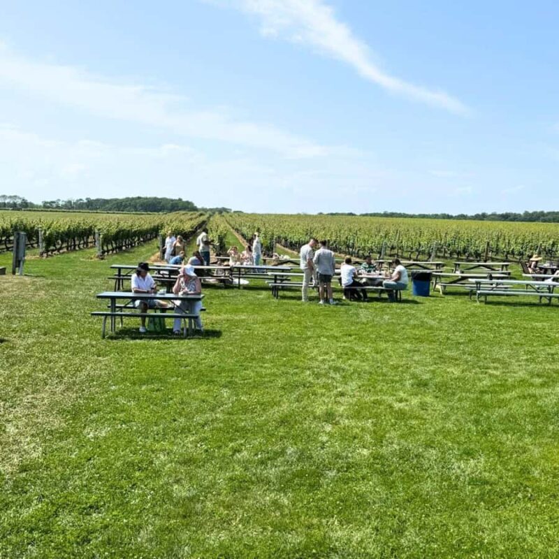 Private Luxury Winery Trip of Long Island, New York, USA - Key Points