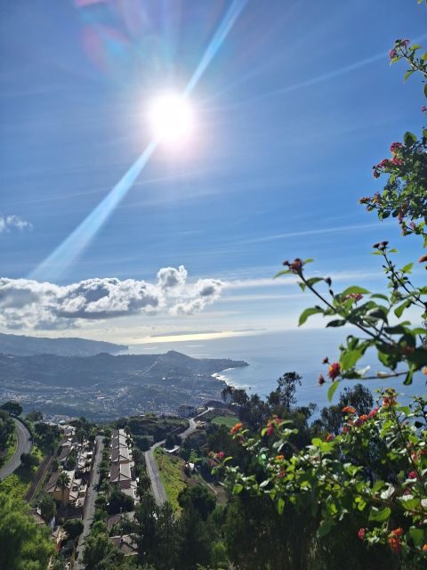Private Madeira Complete Full Day Tour - FAQs