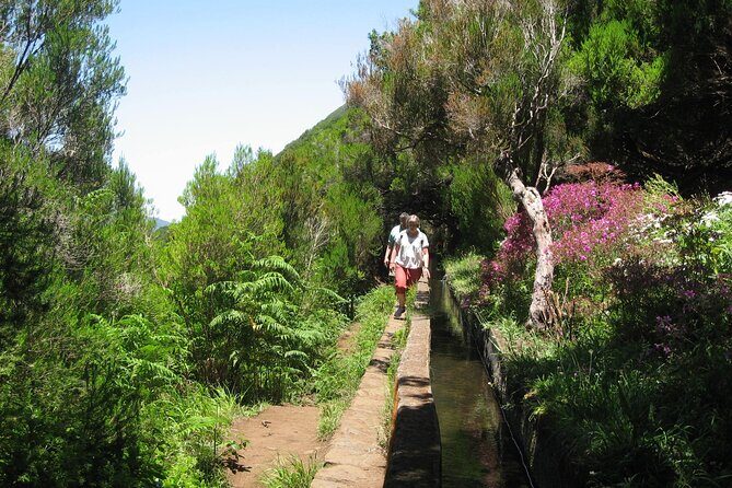 Private Madeira tour 8 people - An In-Depth Look at the Private Madeira Tour