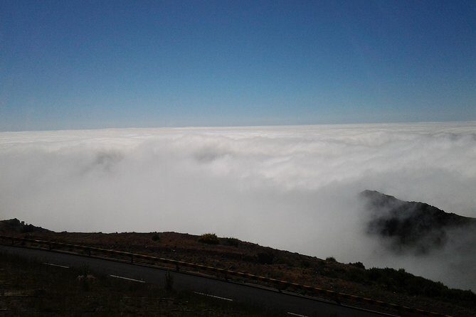 Private Madeira Tour up to 4 people - Final Thoughts