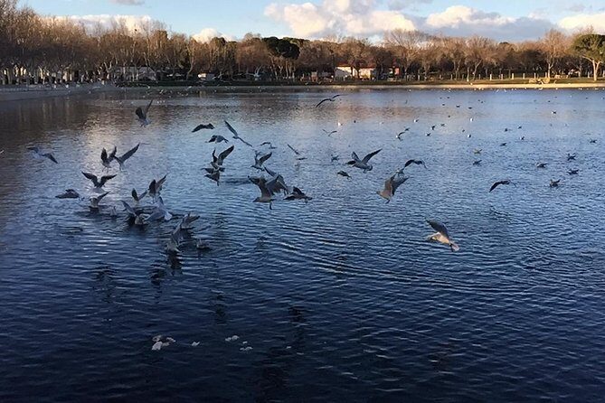 Private Madrid Fullday Guided Tour with Dlx Car - Analyzing the Price and Value