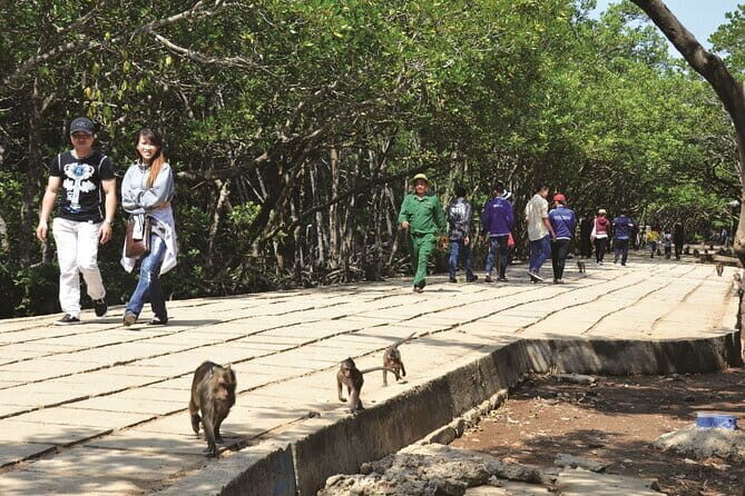 Private Mangrove Forest and Monkey Island Exploration - Key Points