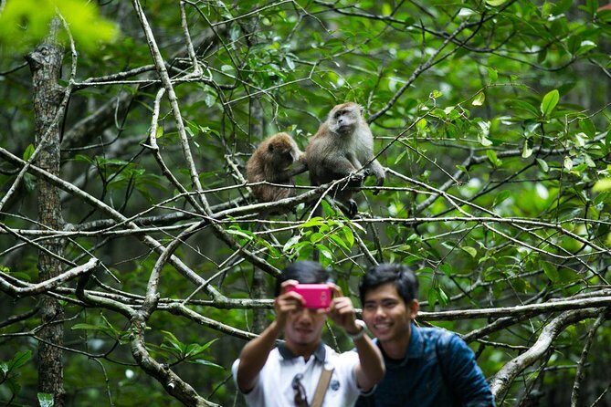 Private Mangrove Tour 3 Hour (max 8 People) - Key Points