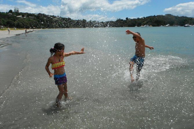 Private Maori Walking Tour with Wine Tasting and Lunch - Practical Details: What You Need to Know