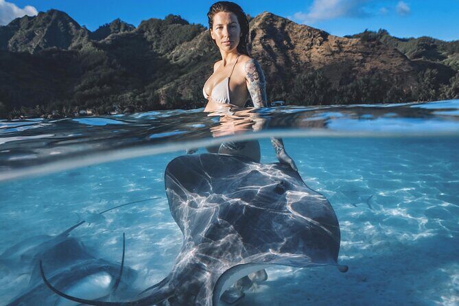 Private Marine Wildlife Adventure with Underwater Photography - Introduction