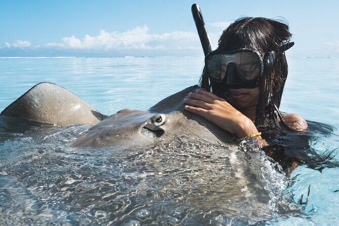 Private Marine Wildlife Adventure with Underwater Photography - An In-Depth Look at the Experience