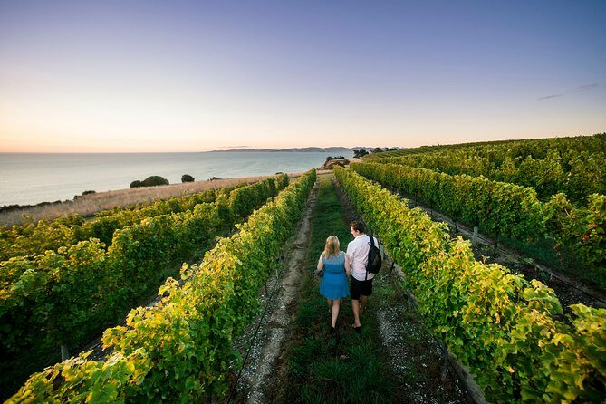 Private Marlborough Winery Tour - Key Points