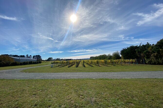 Private Martinborough Wine Tour for Wine Enthusiasts - Authentic & Well-Reviewed