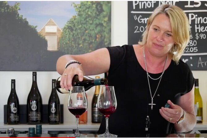 Private Martinborough Wine Tour in an Electric Vehicle - Tesla Model Y - Final Thoughts