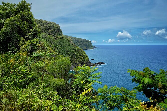 Private Maui Redwood Hiking Experience - Exploring the Private Maui Redwood Hiking Experience: A Detailed Review