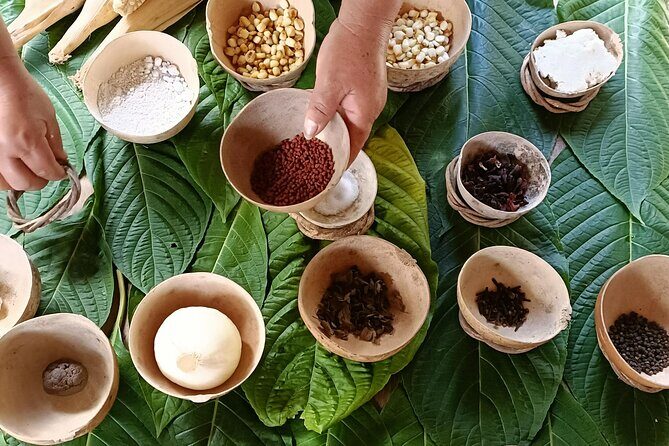 Private Mayan Food Cooking Class, Cenote and Coba Ruins - Final Thoughts