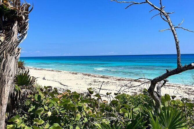 Private Mayan Ruins Tour with Cenote/caves and Mexican Picnic - Practical Considerations: Who Will Love This Tour?