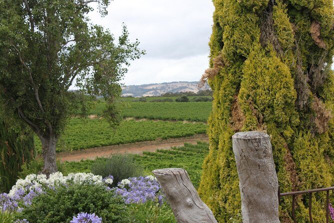 Private McLaren Vale Wine Region Tour from Adelaide - The Sum Up: A Tailored, Comfortable Way to Discover McLaren Vale
