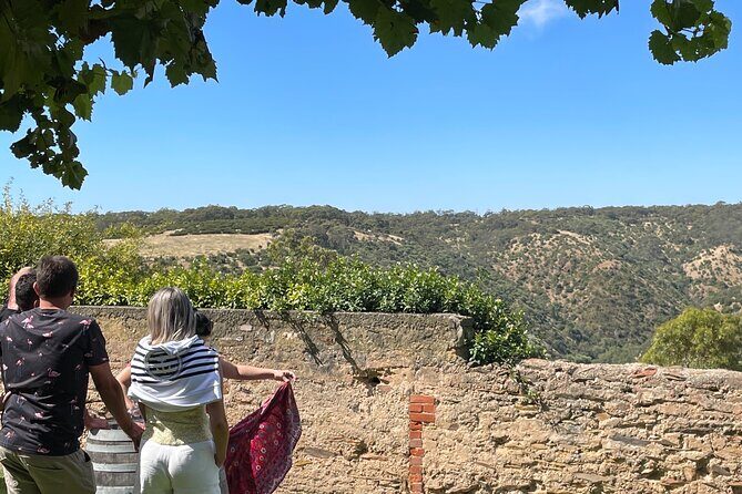 Private Mclaren Vale Wine Tour - FAQ