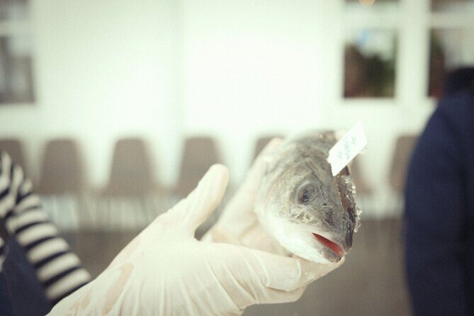 Private Mediterranean Fish Cooking Workshop with Irena - The Practical Aspects