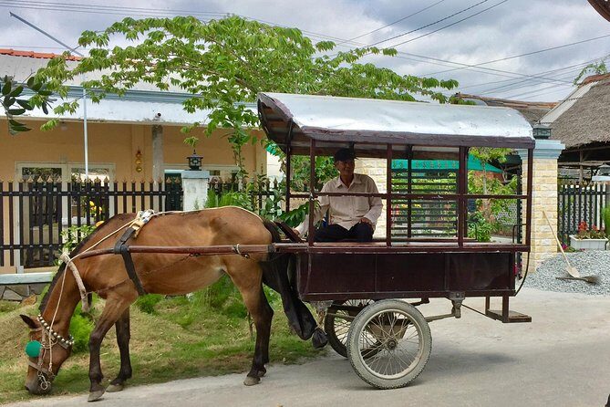 Private Mekong Delta Tour - My Tho - Ben Tre from Cruise Port - What Reviewers Love Most