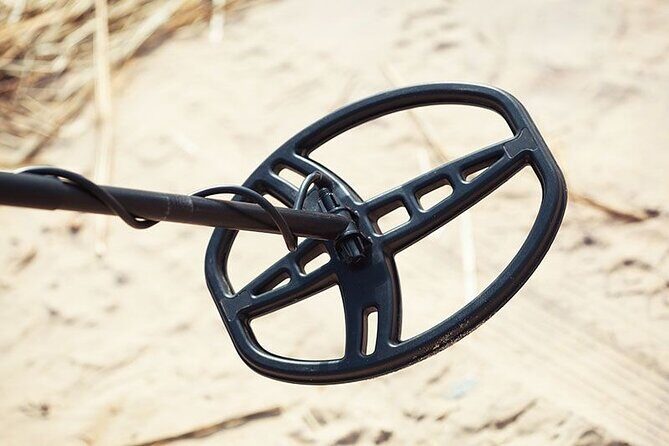 Private Metal Detecting Tour to Simmons Island Beach of Kenosha - Introduction