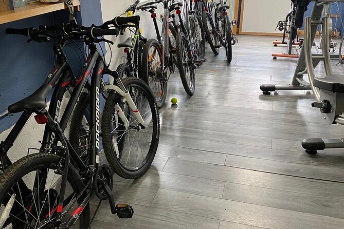 Private Mexico City Biking Tour - The Sum Up: Who Will Love This Experience