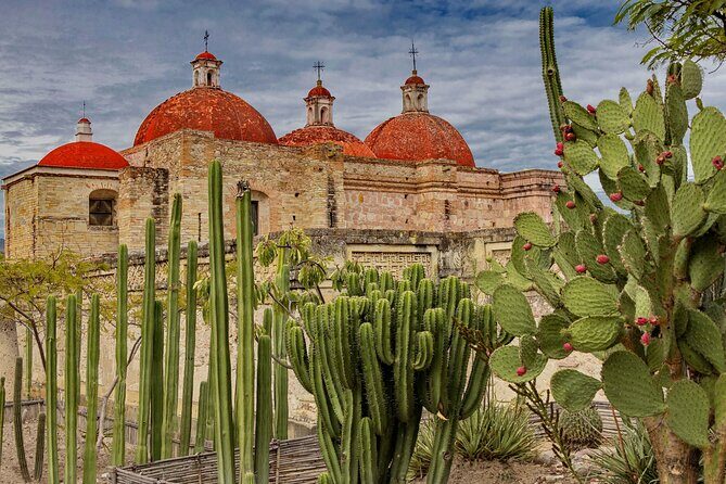 Private Mezcal Tasting Journey by Car in Oaxaca - Practical Details & Our Perspective