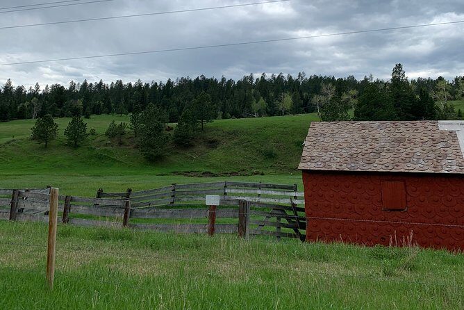 Private Mickelson Trail Bicycling Tour - Summary