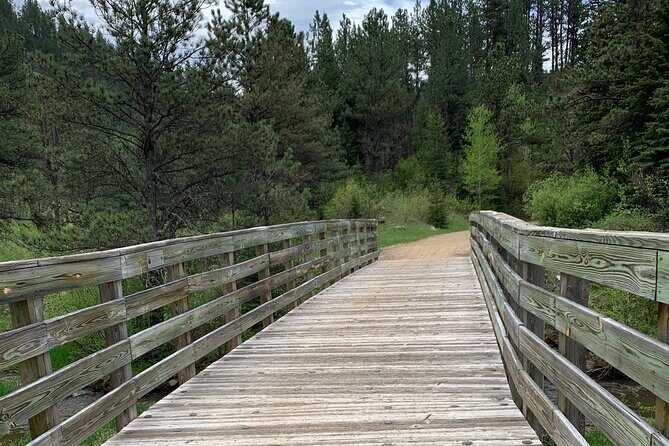 Private Mickelson Trail Bicycling Tour - Who Is This Tour Best For?