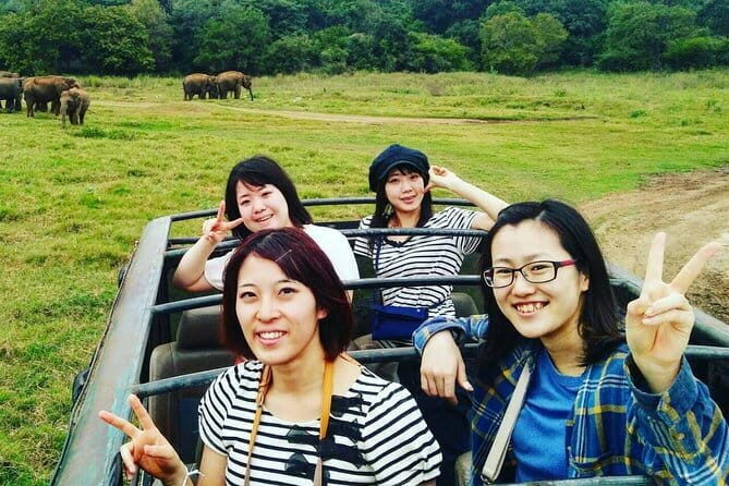 Private Minneriya National Park Safari and Fireflies Lighting Tour - An In-Depth Look at the Tour
