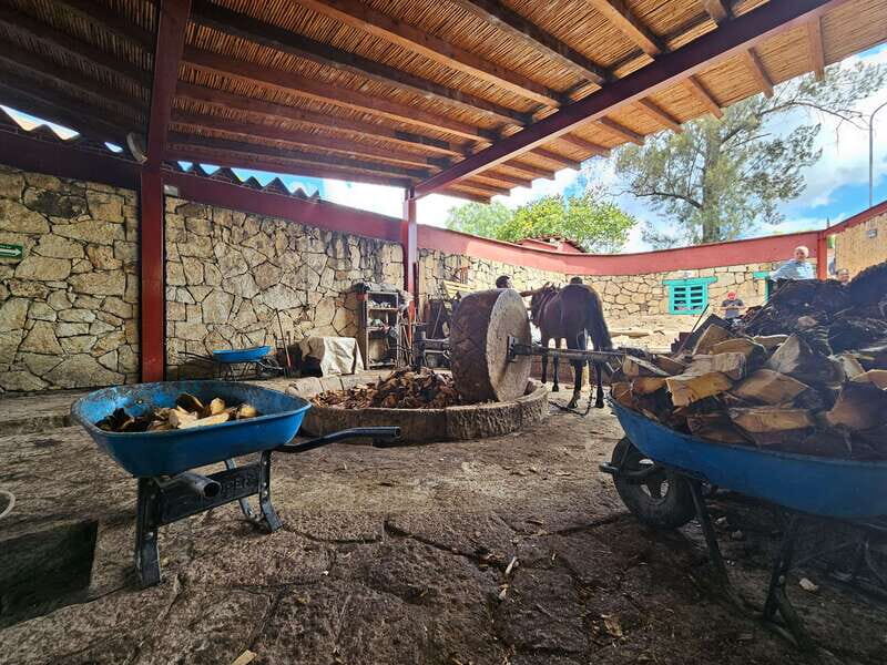 Private Mitla, Hierve el agua and Mezcal Tour with Lunch - The Sum Up