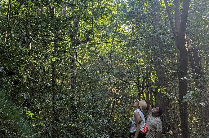 Private Monkey Sanctuary Trails with Zipline Canoe and Cenote - Whats Included and What to Keep in Mind