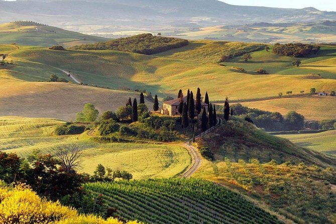 Private Montalcino and Pienza Tour from Siena - Who Is This Tour Best For?