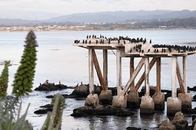 Private Monterey, Carmel and 17-Mile Drive Day Trip from San Francisco - In-Depth Look at the Tour Experience