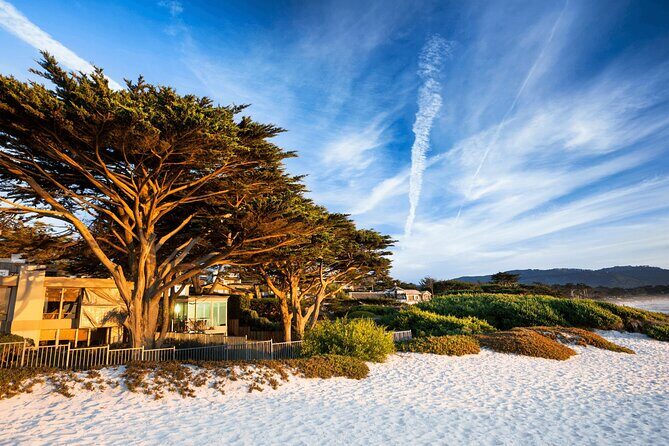 Private Monterey, Carmel and 17-Mile Drive Day Trip from San Francisco - Who Will Love This Tour?