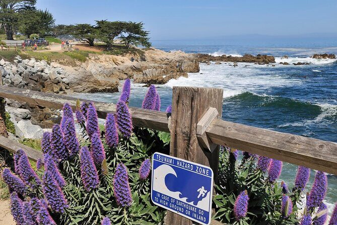 Private Monterey, Carmel and 17-Mile Drive Day Trip from San Francisco - The Sum Up: Why This Tour Works for Many Travelers