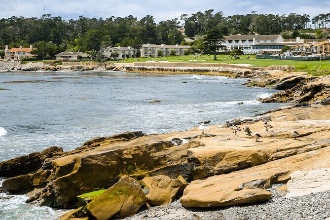 Private Monterey, Carmel and 17-Mile Drive Day Trip from San Francisco - FAQ