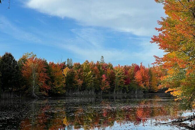 Private Montreal Car Tour with History and Hidden Gems - An In-Depth Look at the Montreal Private Car Tour
