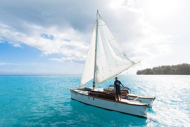 Private Moorea Discovery Half-day Sailing - Authentic Marine Encounters and wildlife