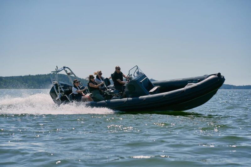 Private morning boat tour to the Airisto - Why This Tour Works Well