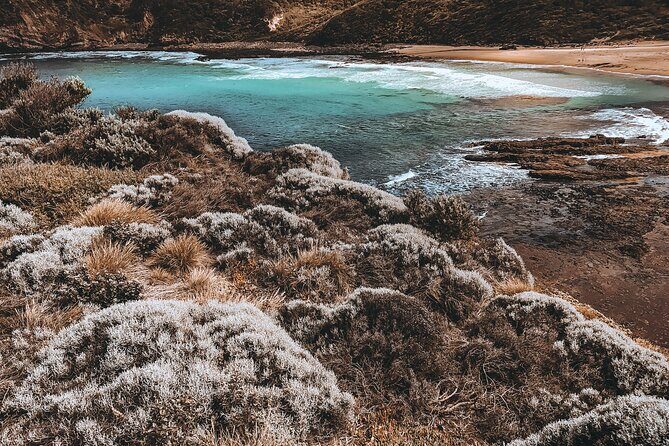 Private Mornington Peninsula Hike and Hot Springs Tour - Exploring the Private Mornington Peninsula Hike and Hot Springs Tour