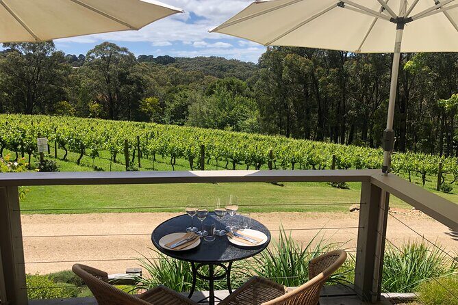 Private Mornington Wine Tour Small Group - The Sum Up