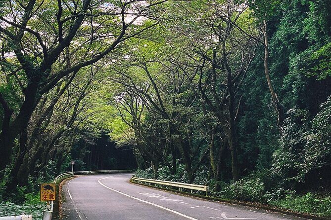 Private Motorcycle Day Tour to Fuji and Hakone: Onsen and Nature - FAQ