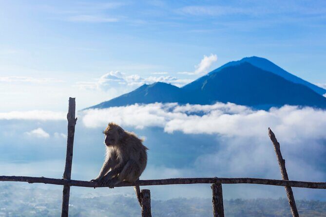 Private Mount Batur Sunrise Trekking Tour - Final Thoughts
