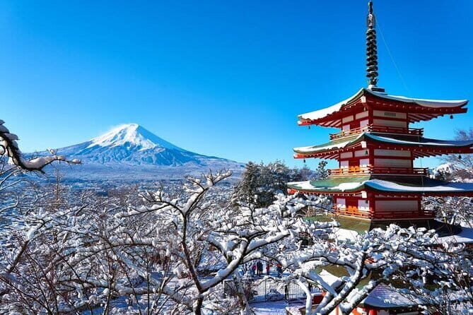 Private Mount Fuji and Hakone One Day Tour - FAQ