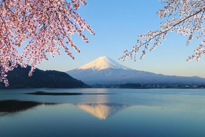 Private Mount Fuji and Hakone sightseeing Day trip with guide - Key Points