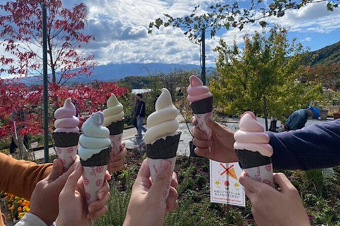 Private Mount Fuji and Hakone sightseeing Day trip with guide - Final Thoughts