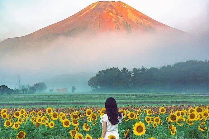 Private Mount Fuji and Hakone sightseeing Day trip with guide - FAQ