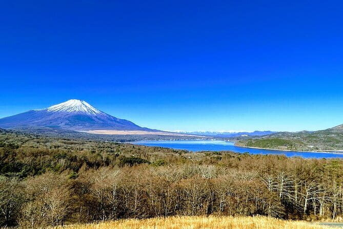 Private Mount Fuji Day Trip from Tokyo by Car - An In-Depth Look at the Mount Fuji Private Day Trip