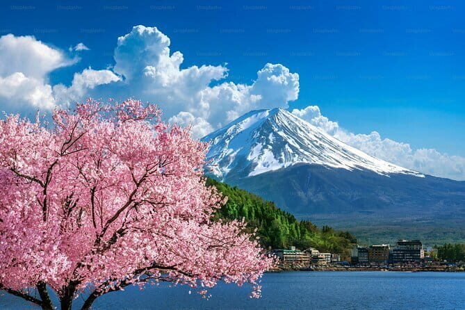 Private Mount Fuji Tours with Car Pickup from Tokyo - An In-Depth Look at the Tour Experience