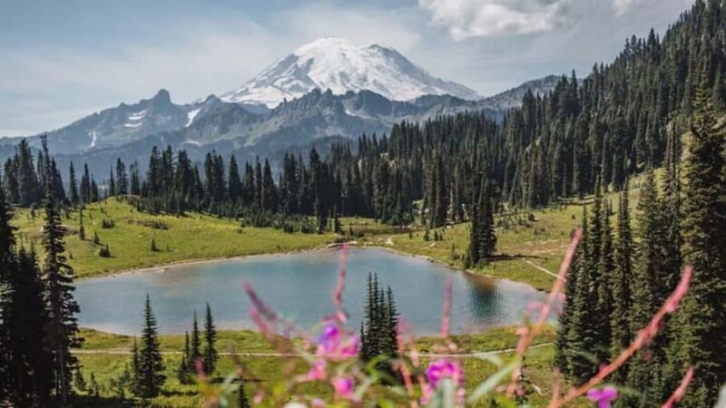 Private Mount Rainier tour from Portland - The Practical Details: Transportation, Timing & Price